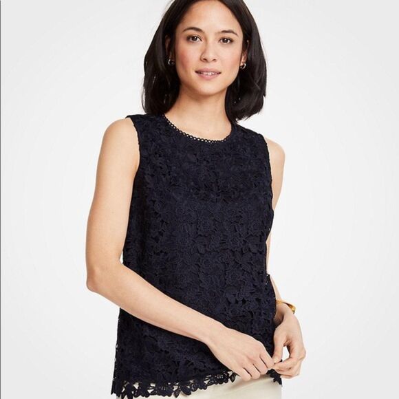 Ann Taylor Sleeveless Embroidered Eyelet Lace Top Womens XL Navy Shell Blouse - Picture 1 of 9